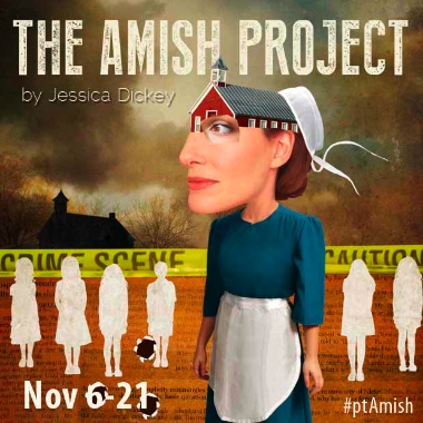 theamishprojectinside
