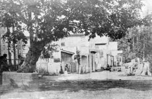 This picture of Gastown was taken in 1870. City of Vancouver Archives: AM54-S4-: Dist P11.1 